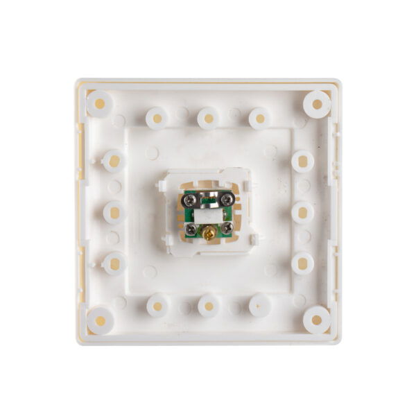 Transco TV in large dolly plate TVLL - Image 2